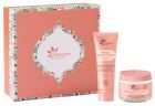 Conjunto de Nutrição Radiance de 3 peças Conjunto de Nutrição Radiance de 3 peças