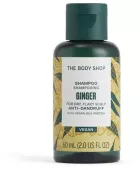 Shampoo de Gengibre 60 ml