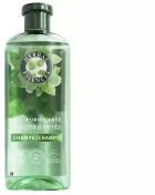 Shampoo Purificante de Menta 350 ml